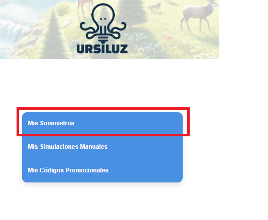 Pantalla Mis Suministros